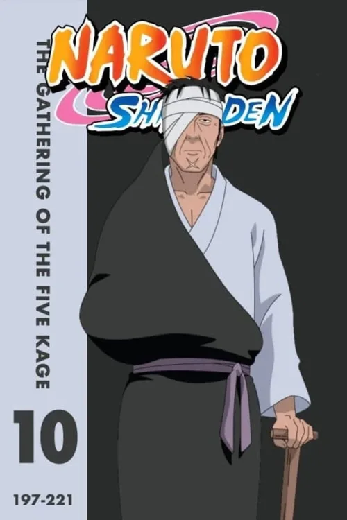第 10 季 五影集结之章