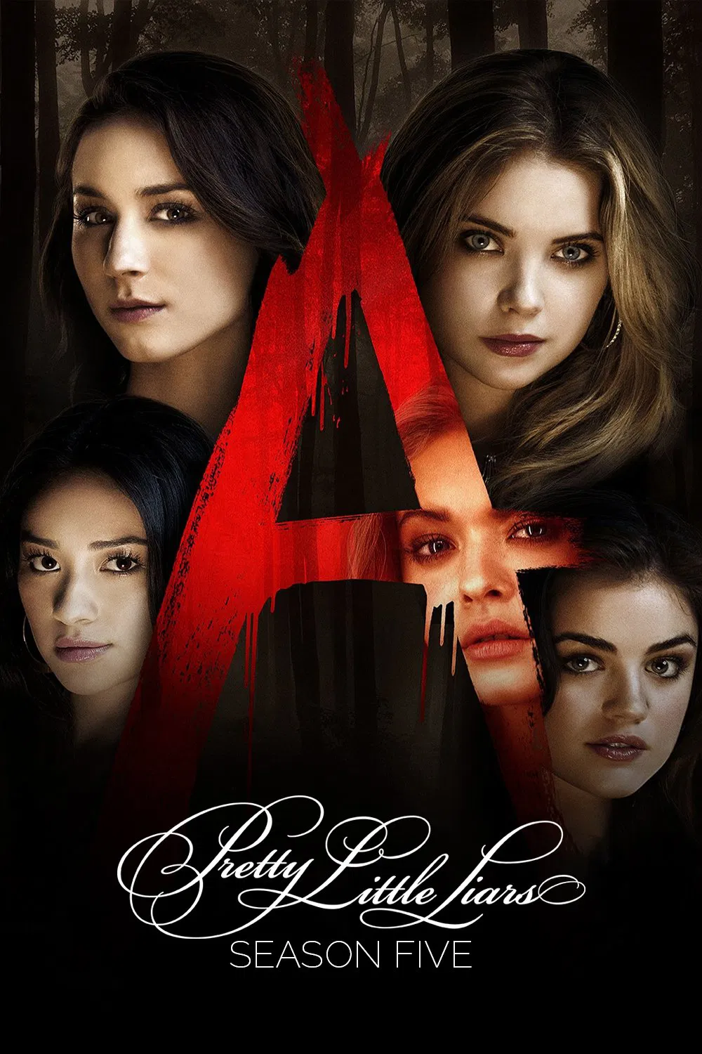 第 5 季