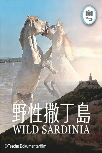 野性撒丁岛
