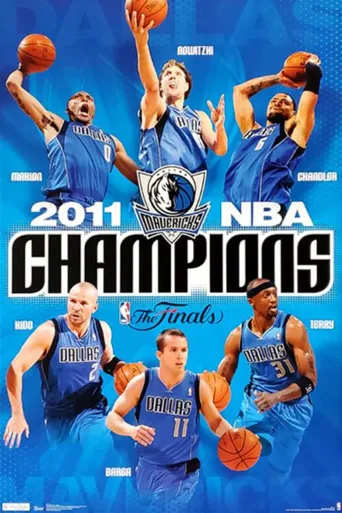 2011年NBA总决赛