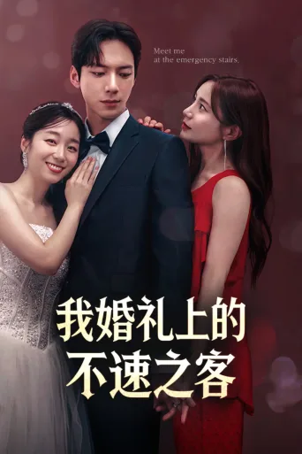 我婚礼上的不速之客