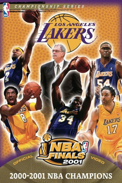 2001年NBA总决赛