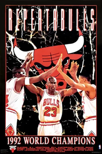 1992年NBA总决赛