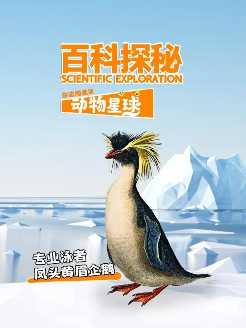 欧洲野猫的自由王国