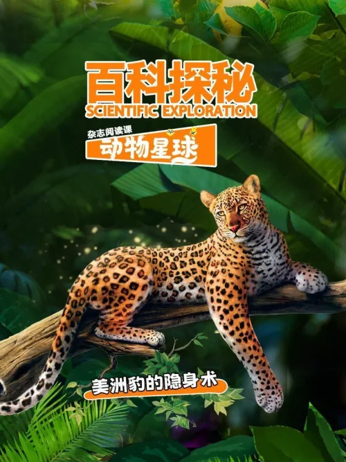美洲豹的隐身术