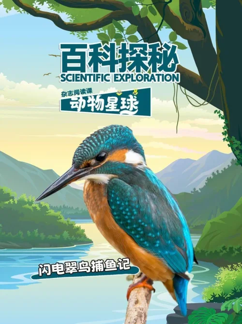闪电翠鸟捕鱼记