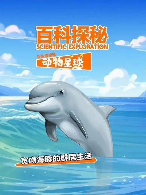 宽吻海豚的群居生活