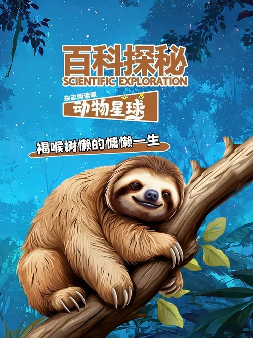 褐喉树懒的慵懒一生