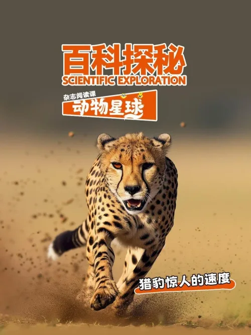 猎豹惊人的速度