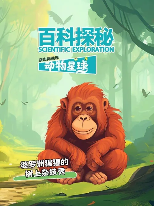 婆罗洲猩猩的树上杂技秀