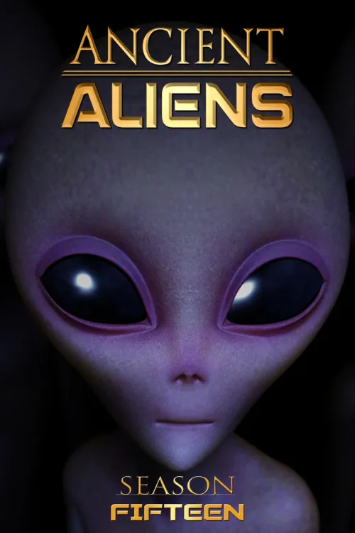 第 15 季