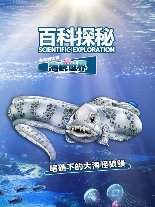 暗礁下的大海怪狼鳗