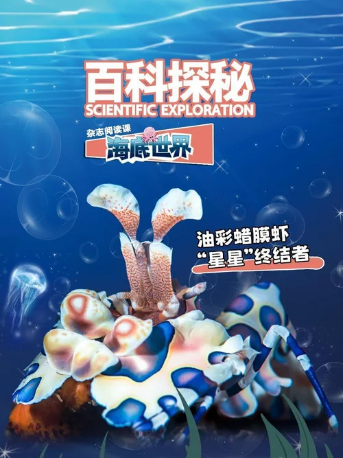 油彩蜡膜虾星星终结者