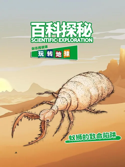 蚁狮的致命陷阱