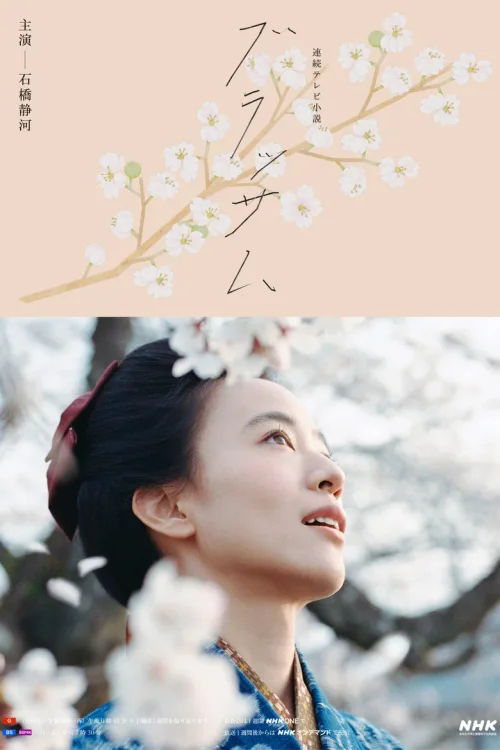花朵盛开