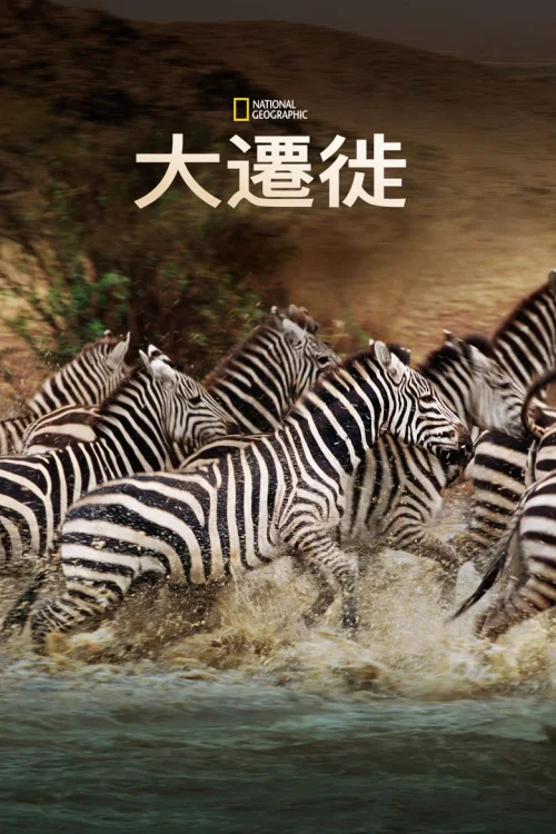 大迁徙