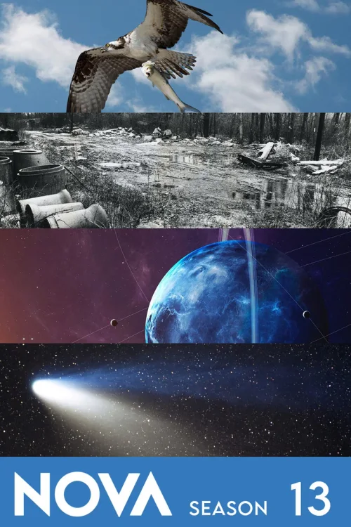 第 13 季