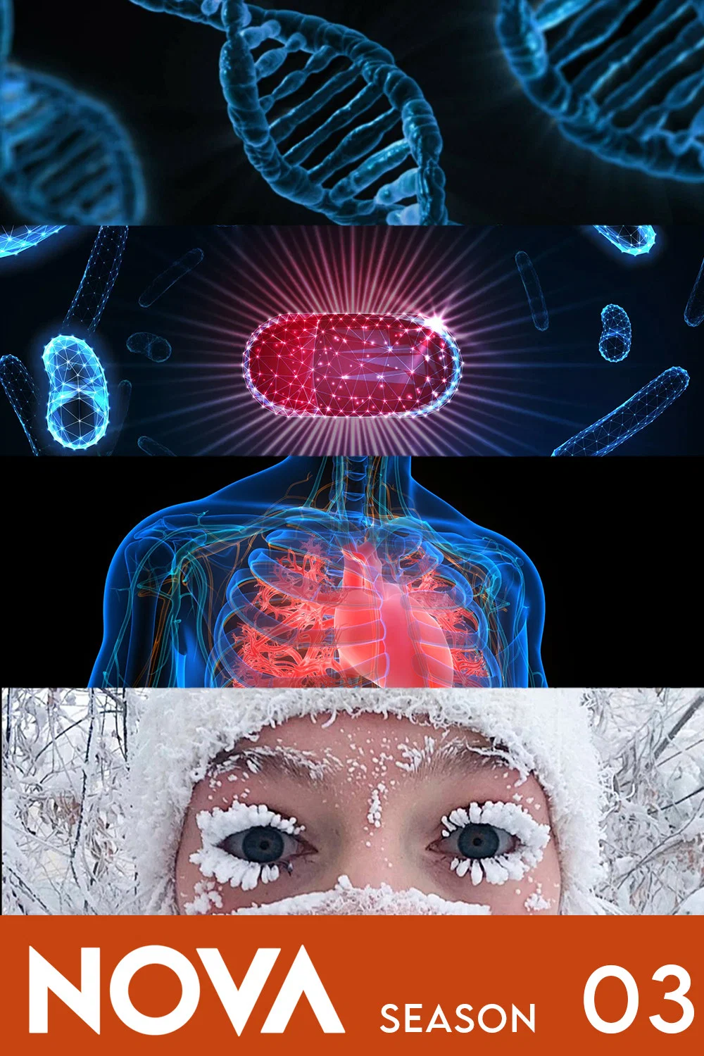 第 3 季