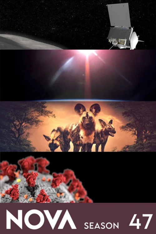 第 47 季