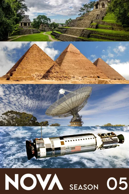 第 5 季