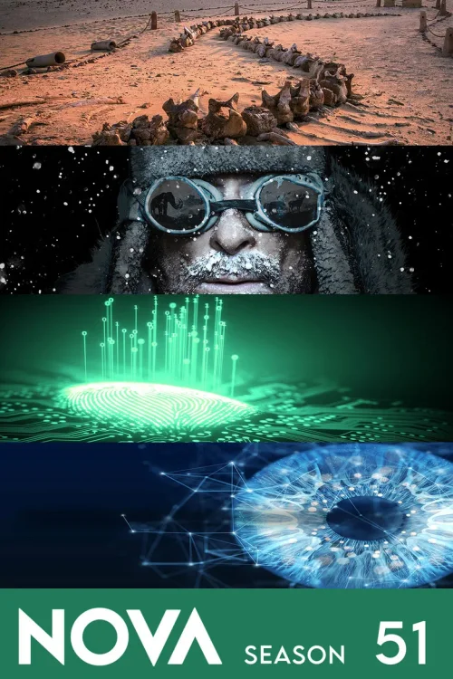 第 51 季