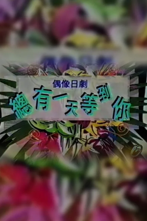 总有一天等到你