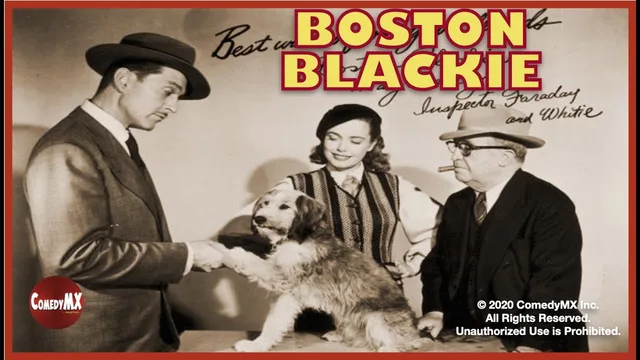 Boston Blackie 剧照 1