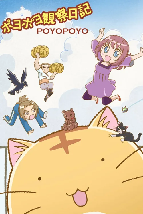 嘟嘟猫观察日记