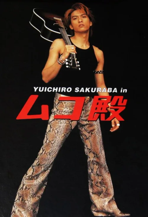 女婿大人(2001)