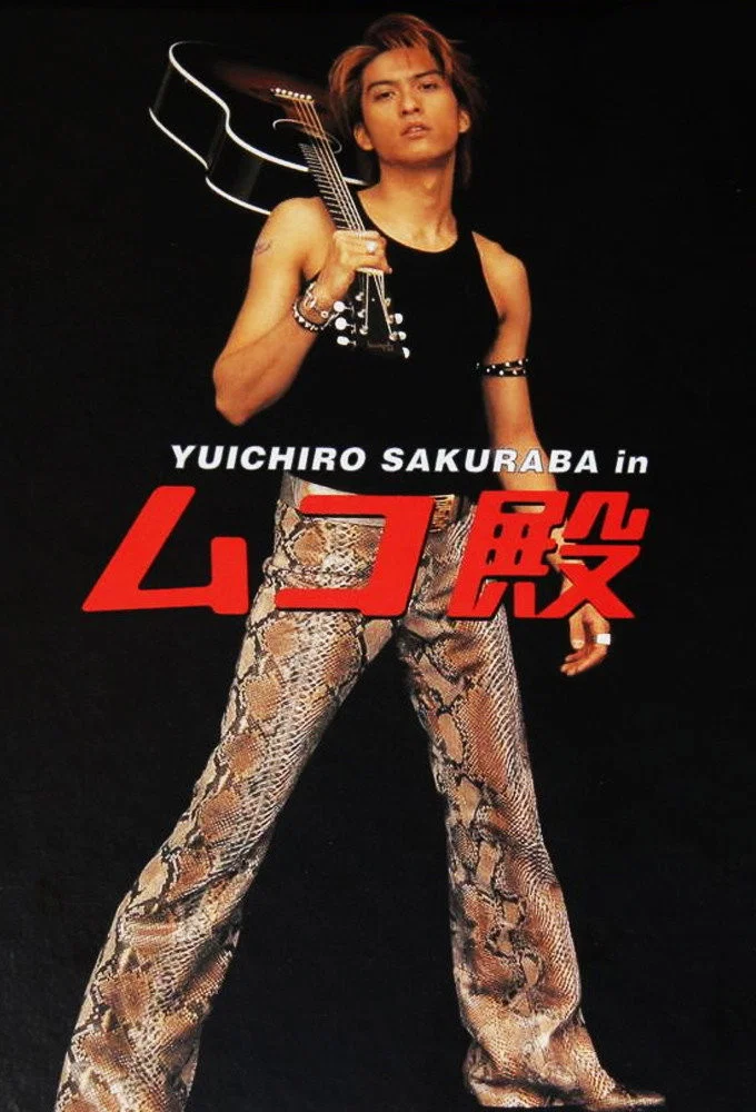 女婿大人(2001)