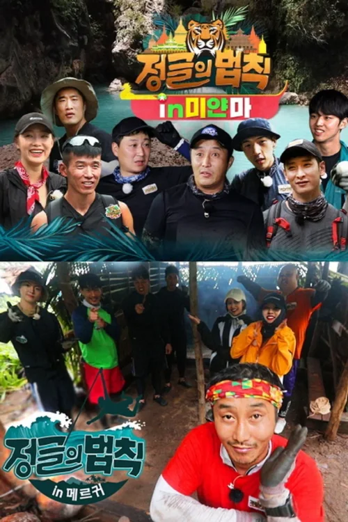 第 43 季