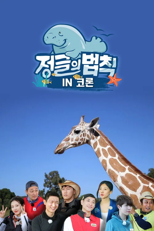 第 46 季