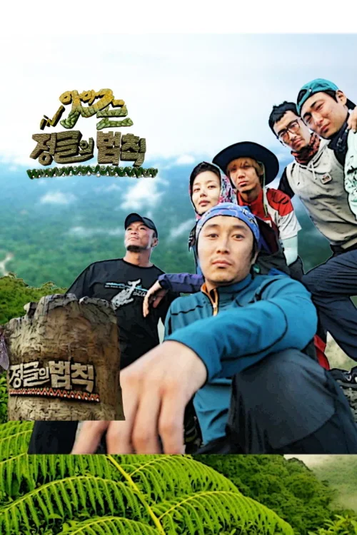 第 5 季