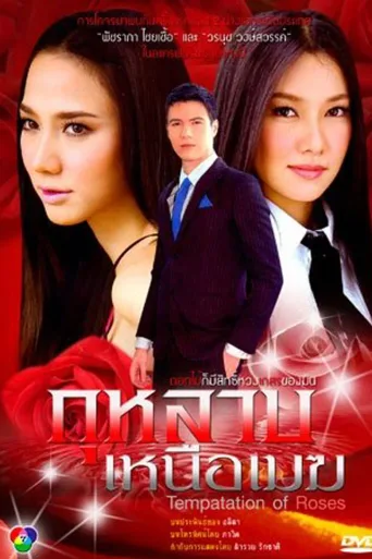 云上的玫瑰