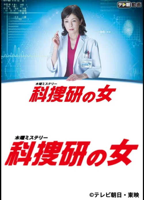 第 15 季