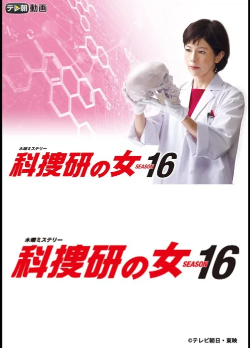 第 16 季