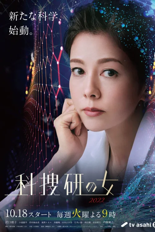 第 22 季