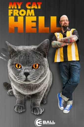 家有恶猫