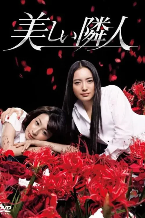 邻家美人