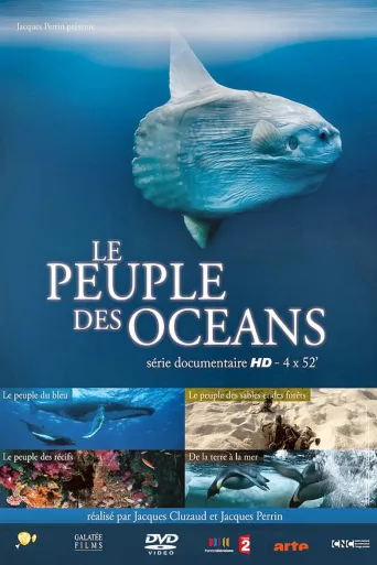 海洋王国