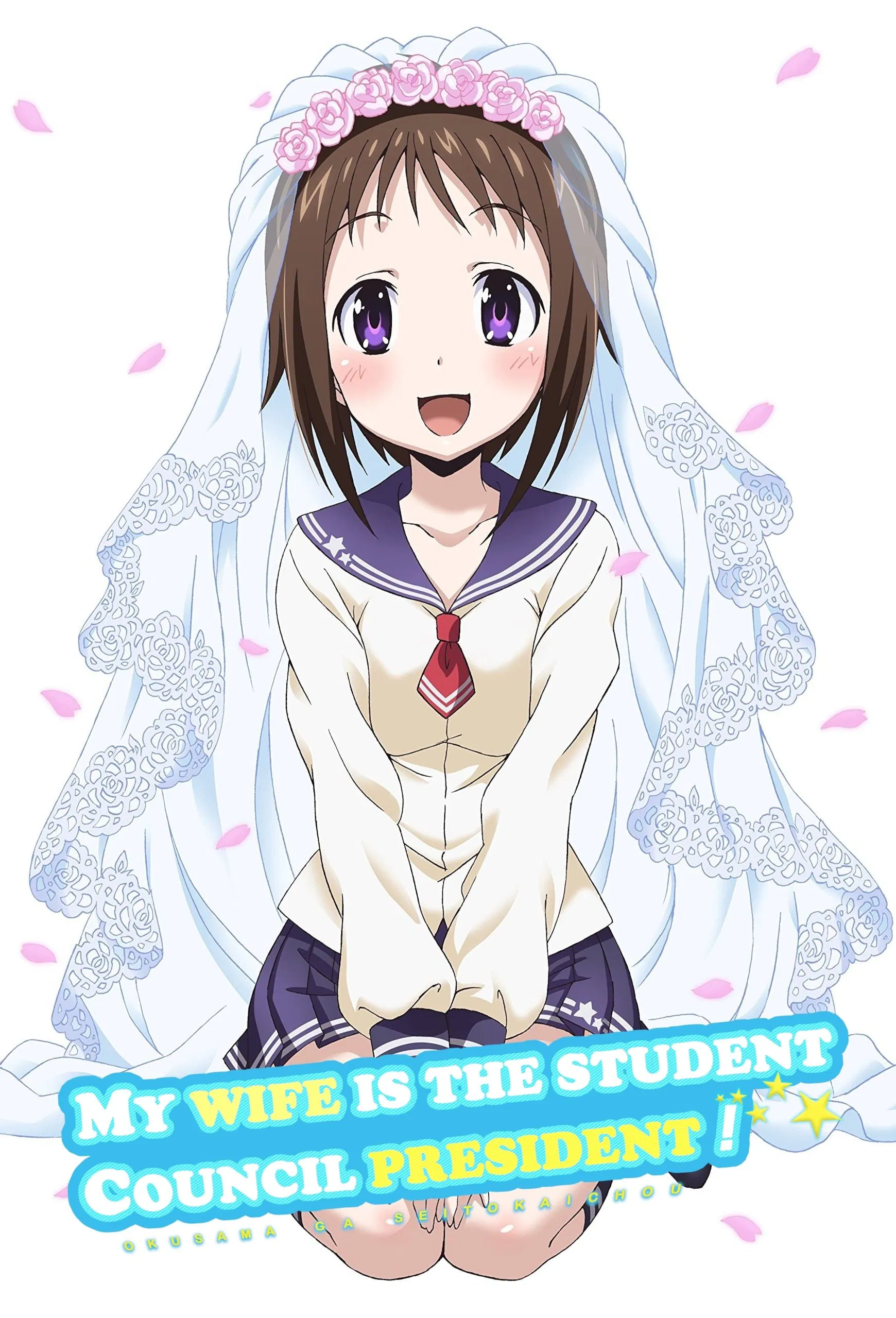 我老婆是学生会长！