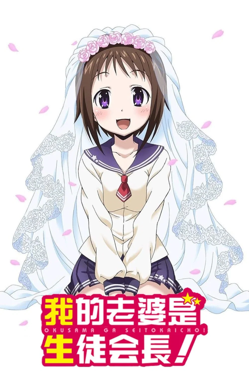 我老婆是学生会长!