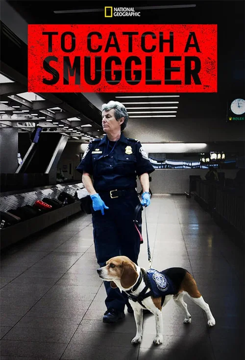 第 2 季