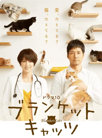 毛毯猫