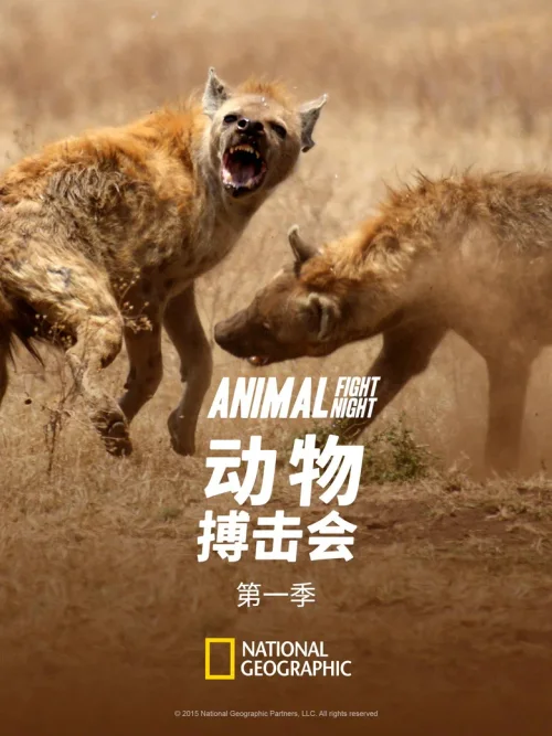 第 1 季