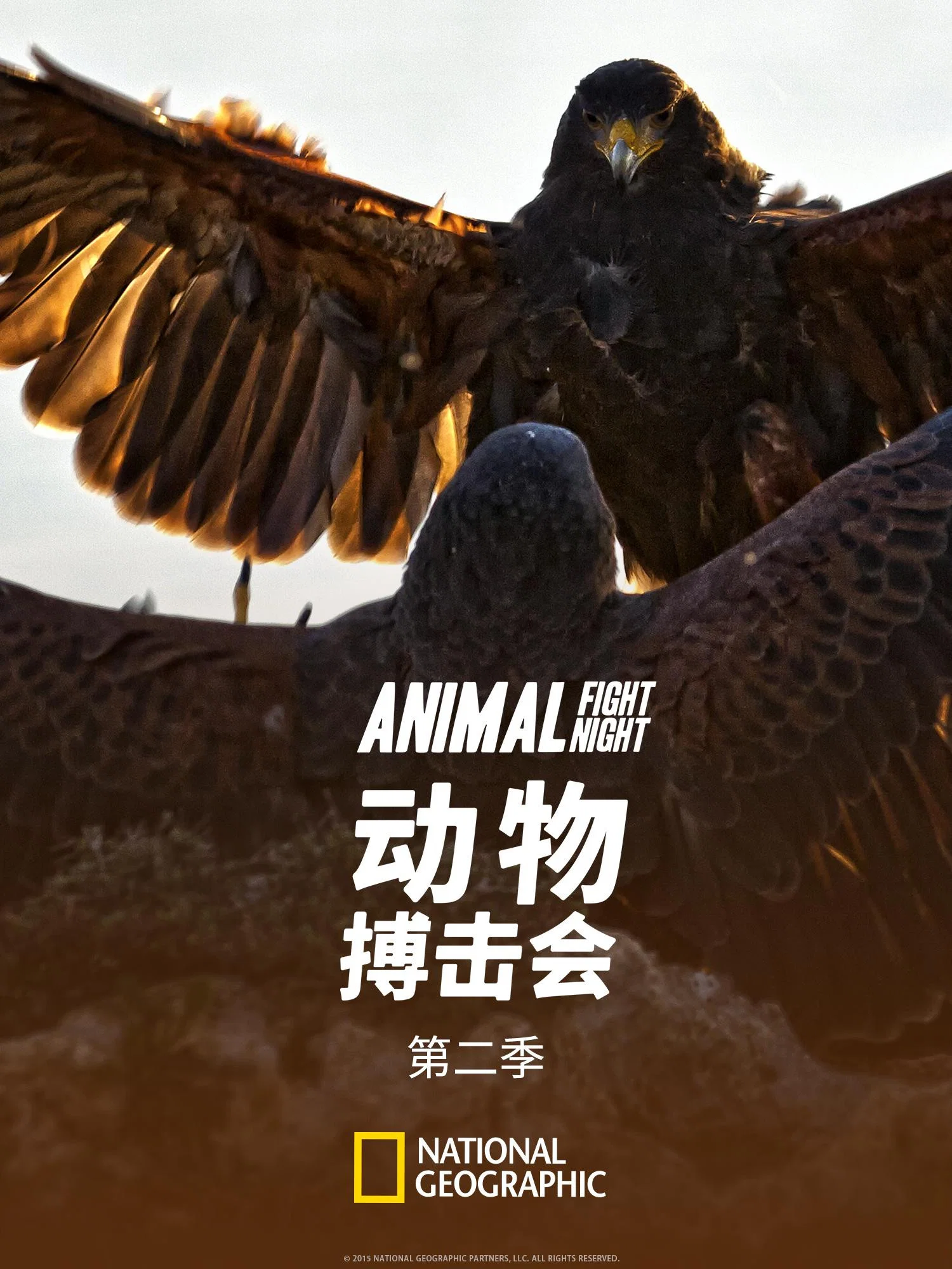 第 2 季
