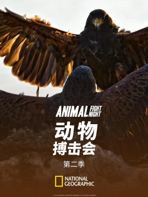 第 2 季