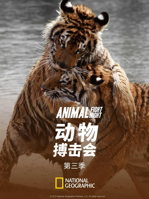 第 3 季