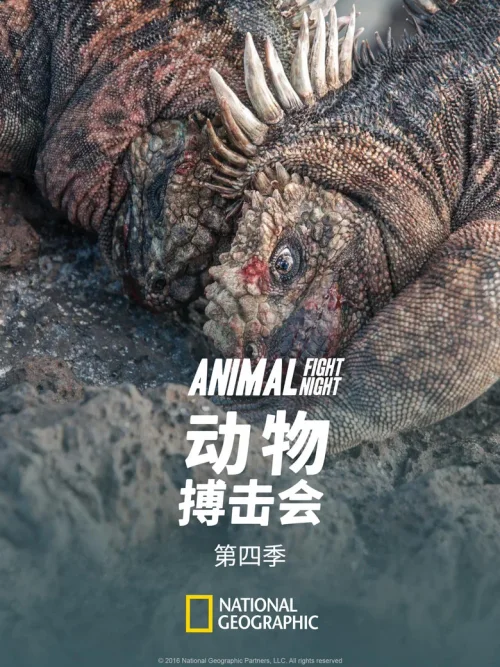 第 4 季