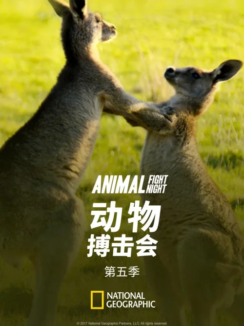 第 5 季